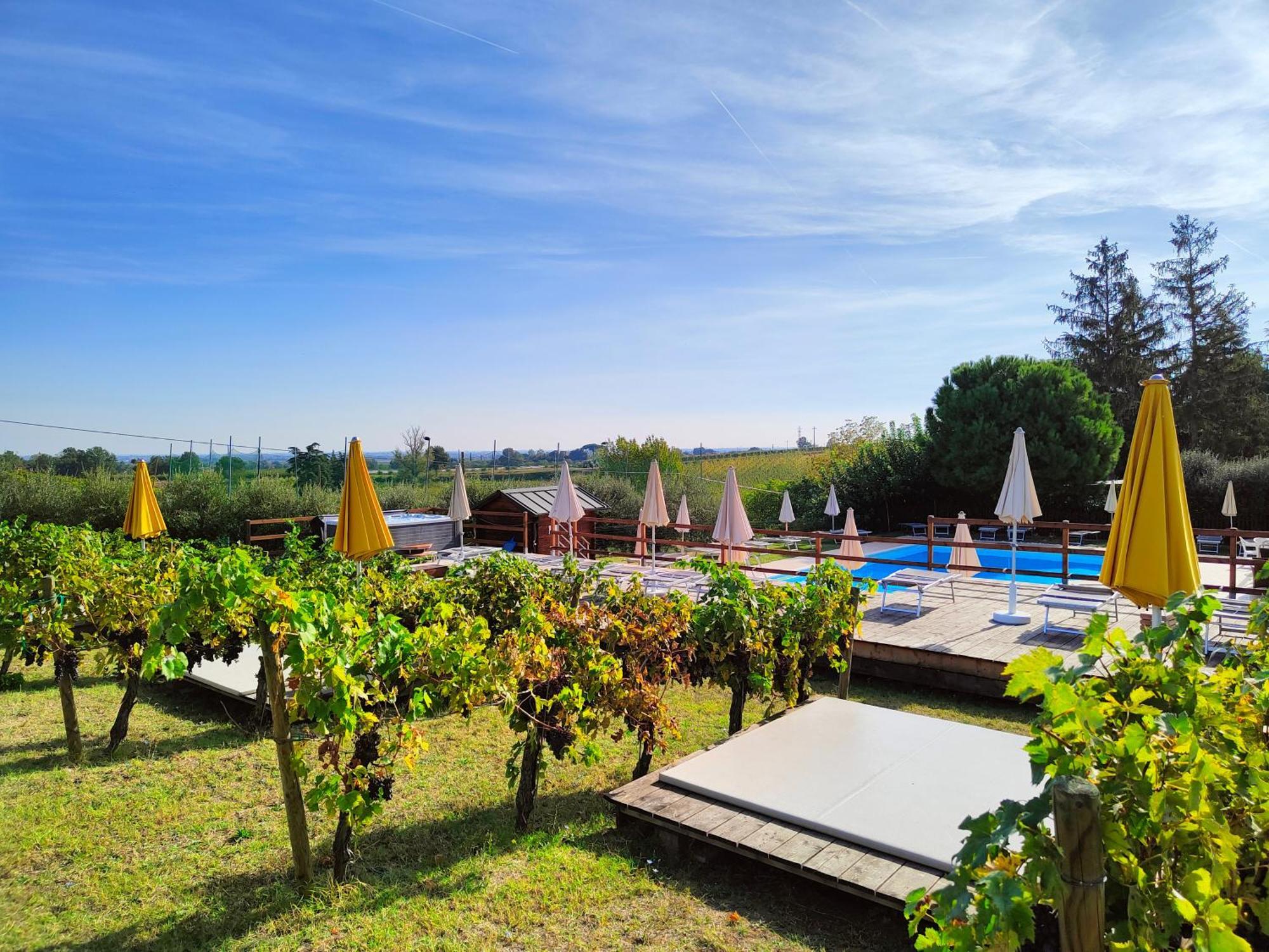 Agriturismo E Cantina La Sabbiona Faenza Buitenkant foto